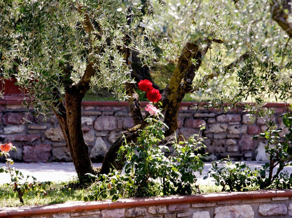 Hotel La Terrazza Restaurant & Spa Assisi Kamer foto